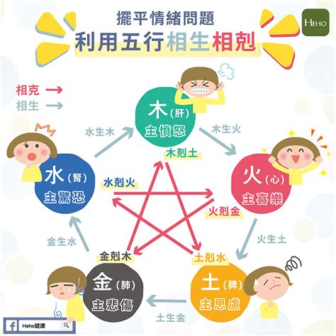 五行理論|五行學說是甚麼？